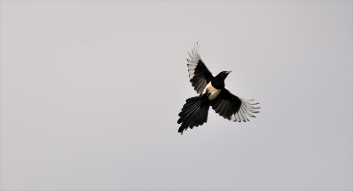 fmslideshow