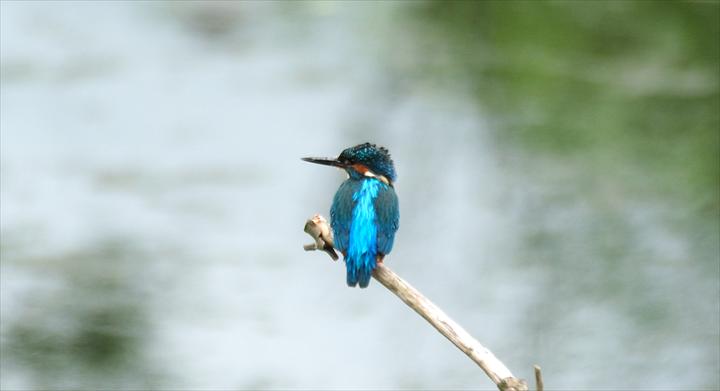 fmslideshow